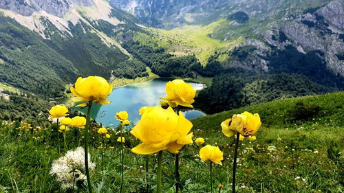 108126097 3695241003836145 4169854069050622851 n.jpg