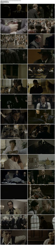 The.Godfather.1972.UHD.BluRay.2160p.2Audio.TrueHD.5.1.x265.10bit.HDR BeiTai.mkv.jpg