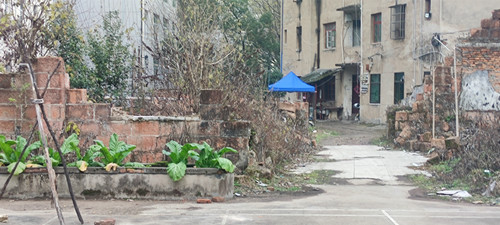 IMG 20230110 161009.jpg