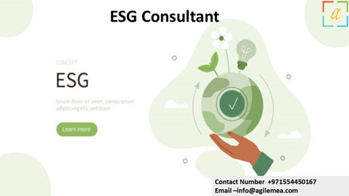 ESG Consultant 8.jpg