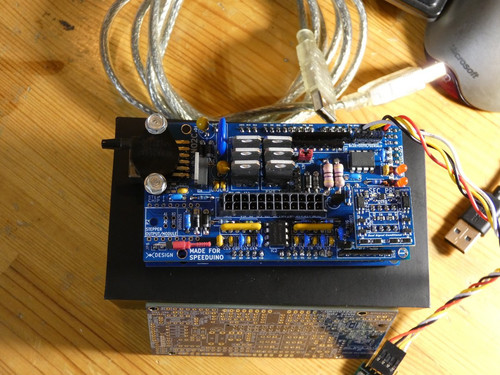 P1000081.jpg