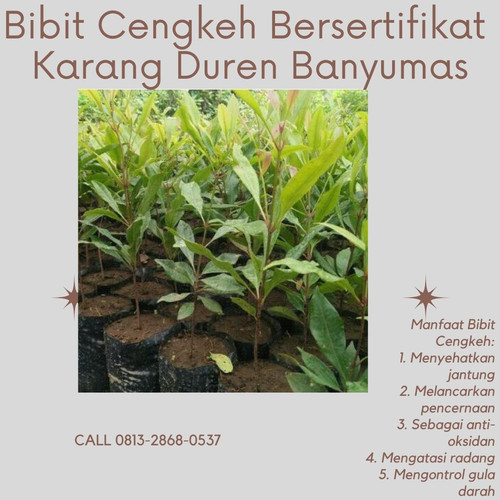 IMG 20230110 082145 206.jpg