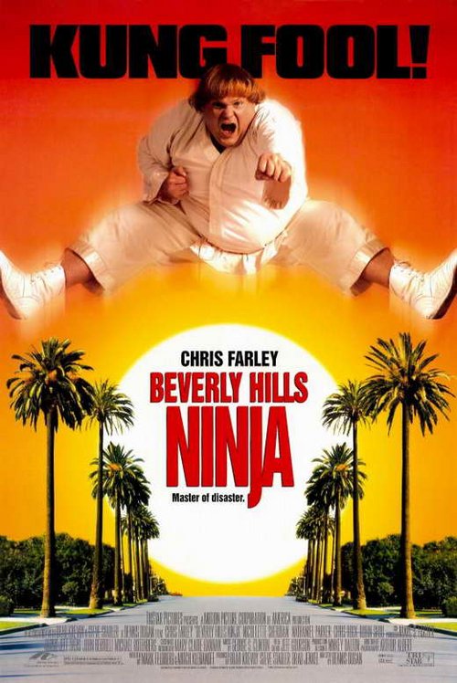 Wielki Biały Ninja / Beverly Hills Ninja (1997) PL.1080p.WEB-DL.x264-wasik / Lektor PL