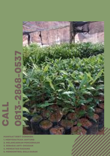 png 20230109 152333 0000.png