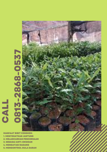 png 20230109 152430 0000.png