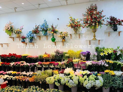 1734 THANH LONG FLOWERS (2).jpg