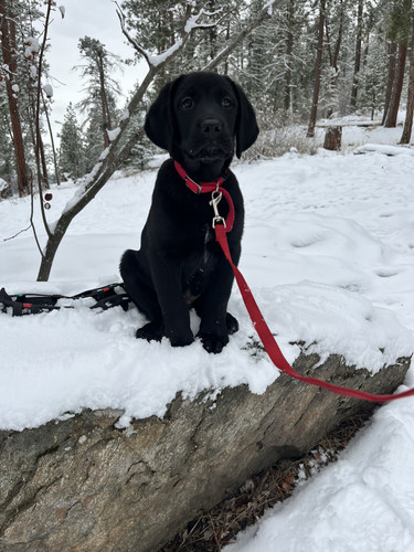 192B7796 506C 4991 BEDD A6912E8645BB