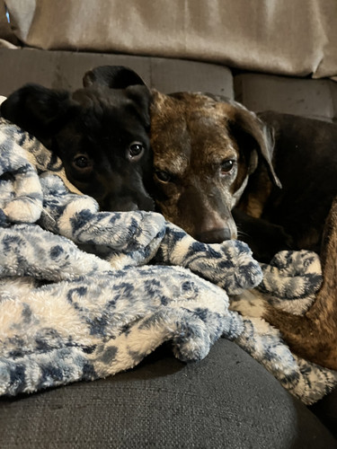 09E7C7D9 5107 4C1F A54C 25AD047F6811