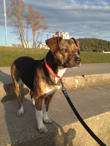 9D8E18A4 D8EE 4C02 ABB2 E40CB31F6353