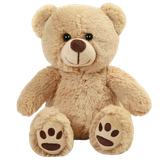 teddy bear.png