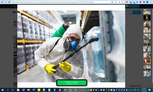 11D01M 12h24m36s.jpg