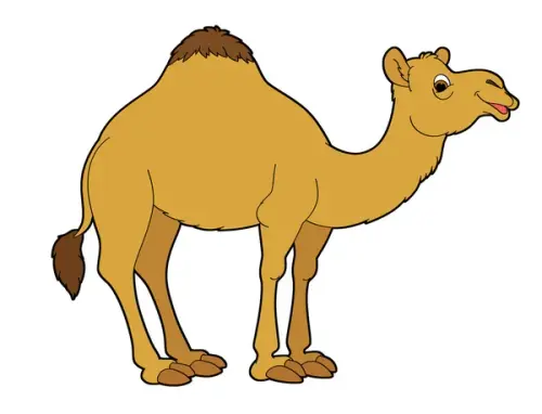 cartoon camel.webp