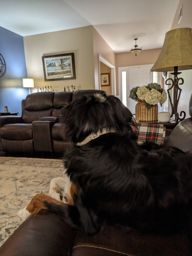 PXL 20230422 160514297.jpg