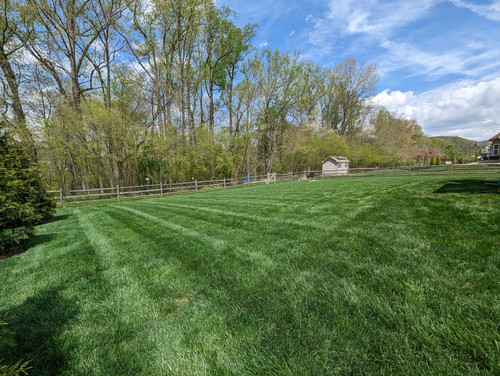 PXL 20230422 162837706.jpg