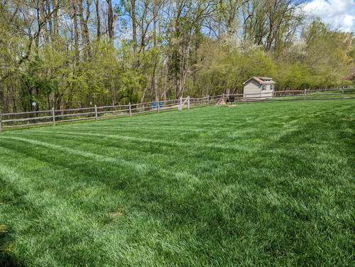 PXL 20230422 162830668.jpg