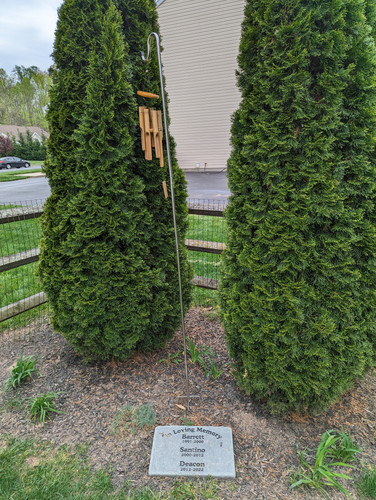 PXL 20230422 181636801.jpg