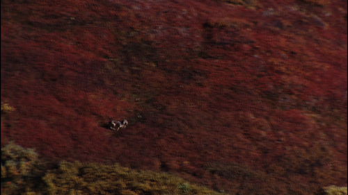 The.National.Parks.America%E2%80%99s.Best.Idea.2009.EP01.BluRay.REMUX.1080i.AVC.DD5.1 HDS 00.08.07.png