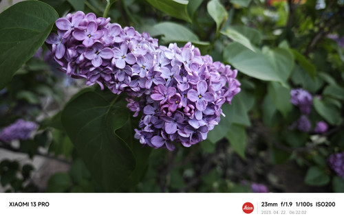 IMG 20230422 062202.jpg