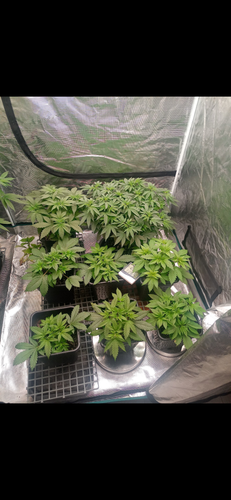 Screenshot 20230428 050952.png