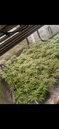 Screenshot 20230428 050943.png