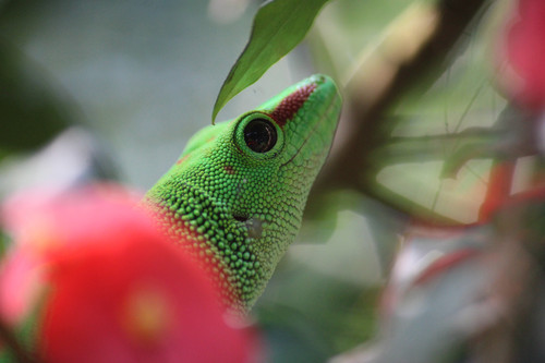 20220811 IMG 6014.jpg