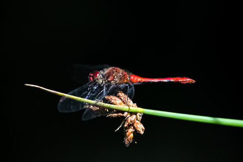 20200712 20200712160554 IMG 3591.jpg