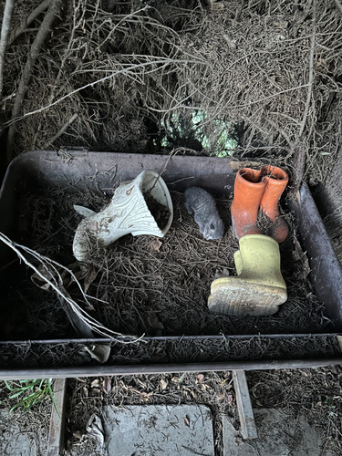 70434314142 0316A7A9 201E 4E4C BD8E 14C5BEDA8A8E.jpg