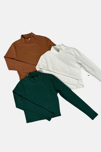 media pol ribb 1.jpg