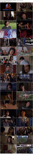 The.Joy.Luck.Club.1993.BluRay.1080p.2Audio.DTS HD.MA5.1.x265.10bit BeiTai preview.jpg