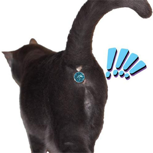 Twinkle Tush Cat Butt Jewel Unicun 6.jpg