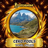 CEKO.gif