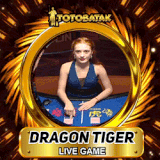 DRAGON TIGER.gif