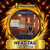 HEAD TAIL.gif
