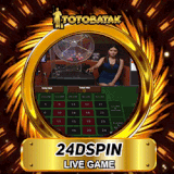 24DSPIN.gif