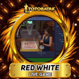 RED WHITE.gif