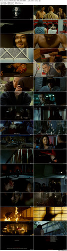 Ninja.Assassin.2009.BluRay.1080p.DTS HD.MA5.1.x265.10bit BeiTai preview.jpg