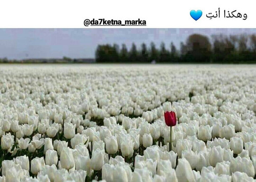 IMG 20180817 030917.jpg