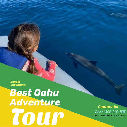 Banzai Adventure.jpg