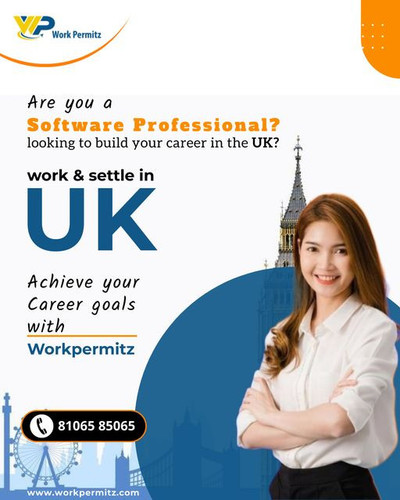 Work & Settle In UK Achieve Your Career Goals With Workpermitz.jpg