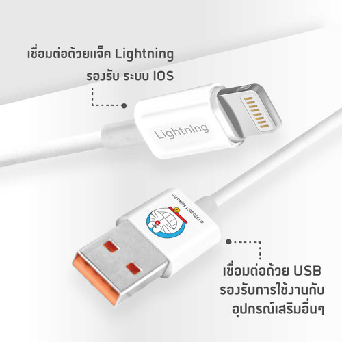 online3 A DMC8081.jpg