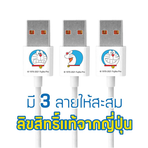 online5 A DMC8081.jpg