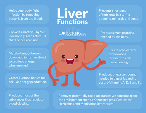 Liver Health 1.jpg