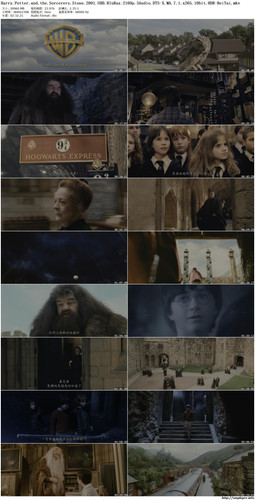 Harry.Potter.1.jpg