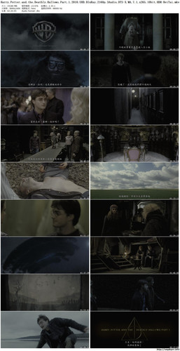 Harry.Potter.7.jpg