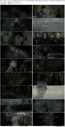 Harry.Potter.8.jpg