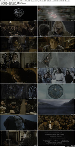 Harry.Potter.4.jpg