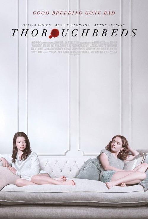 Panny z dobrych domów / Thoroughbreds (2017) PL.720p.BRRip.H264-wasik / Lektor PL