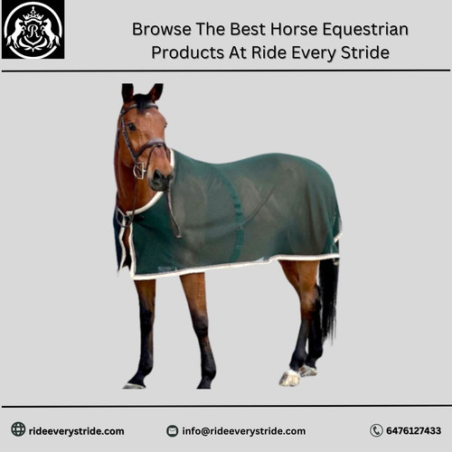 Browse The Best Horse Equestrian Products At Ride Every Stride (1).jpg
