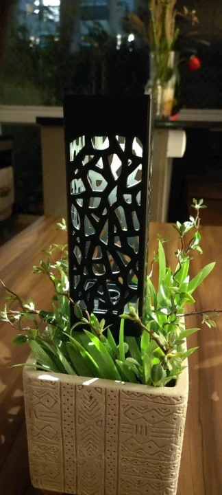 1tUcAfjyFmiBO8J.webp