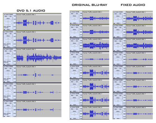 Human Traffic Audio Comparison.jpg